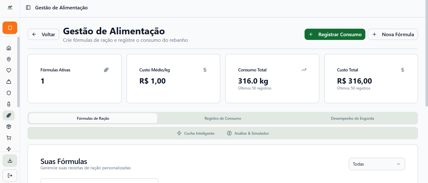Gado de Corte